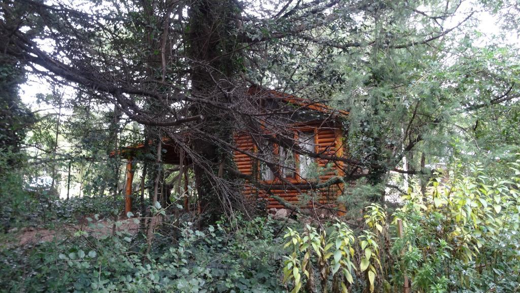 Cabanas Dos Arroyos Villa Sierra de la Ventana Exterior photo